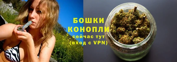 прущая мука Богородицк