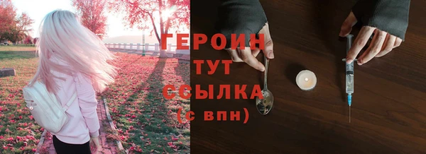 гидра Богданович