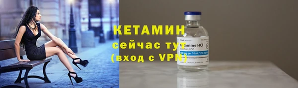 гидра Богданович