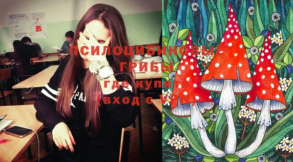 скорость Белокуриха