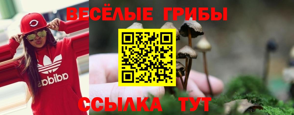 Видное  Галлюциногенные грибы ЛСД  Вход с VPN 